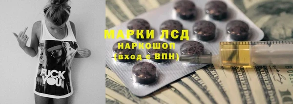 прущие грибы Белокуриха