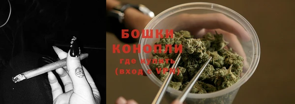 ГАЛЛЮЦИНОГЕННЫЕ ГРИБЫ Белоозёрский