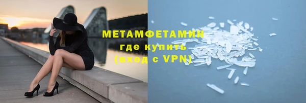 прущие грибы Белокуриха