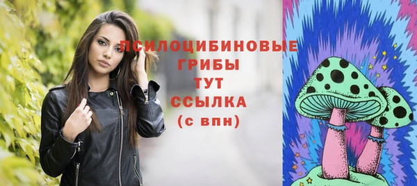 ГАЛЛЮЦИНОГЕННЫЕ ГРИБЫ Белоозёрский