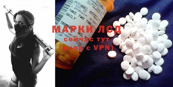 прущие грибы Белокуриха
