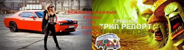 ГАЛЛЮЦИНОГЕННЫЕ ГРИБЫ Белоозёрский