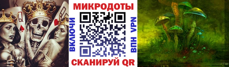 Псилоцибиновые грибы Psilocybine cubensis  Тогучин 