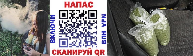 наркошоп  OMG ССЫЛКА  Каннабис MAZAR  Тогучин 